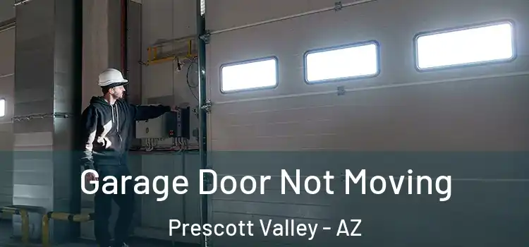  Garage Door Not Moving Prescott Valley - AZ
